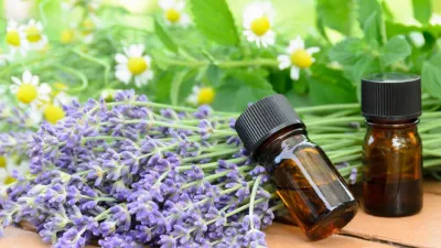 Can You Ingest Essential Oils? The Honest Answer