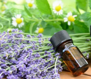 Can You Ingest Essential Oils? The Honest Answer
