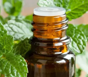 7 Top Carrier Oils to Use With Essential Oils