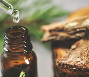 What Essential Oils Actually Are (And What They Are Not)
