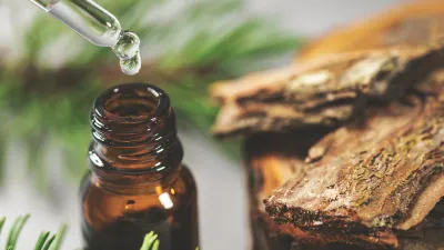 What Essential Oils Actually Are (And What They Are Not)