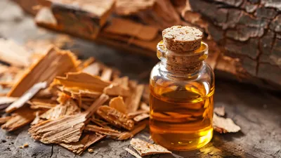 How to Compare Essential Oil Brands Without Guesswork