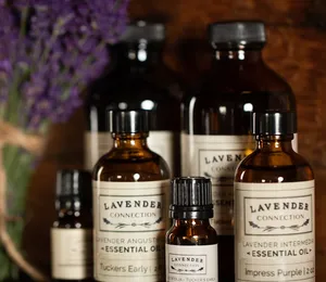The Most Popular Essential Oils and Why People Use Them