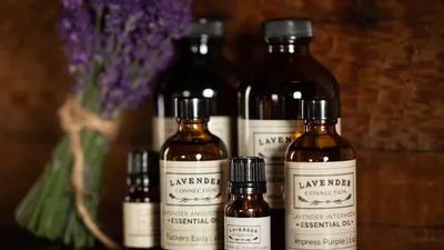 The Most Popular Essential Oils and Why People Use Them
