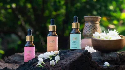 6 Best Organic Essential Oils Worth the Price