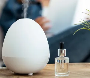 Essential Oils for Seasonal Comfort and Wellness