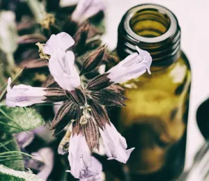 Easy Ways to Use Essential Oils Without Making Blends