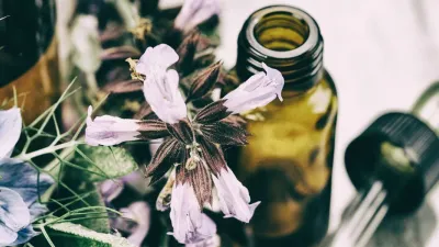 Easy Ways to Use Essential Oils Without Making Blends