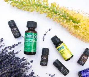 Essential Oils for Natural Home Freshening