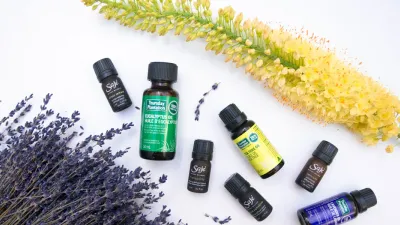 Essential Oils for Natural Home Freshening