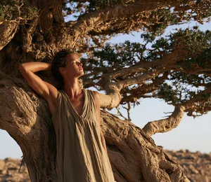 Frankincense Essential Oil: Production, Benefits & Safe Use