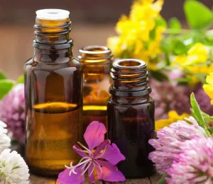 Best Essential Oils for Everyday Home Use