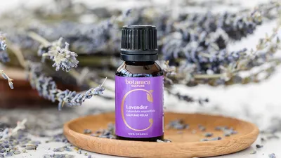 Best Essential Oils for Better Sleep and Nighttime Routines