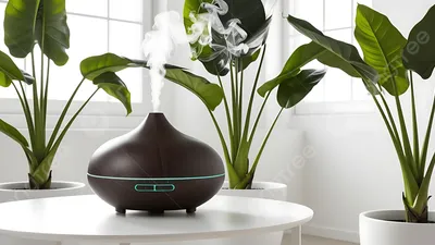Best Essential Oils for First-Time Users