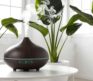 Best Essential Oils for First-Time Users