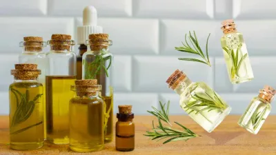 Essential Oils vs Supplements: What’s the Difference?